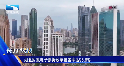 湖北财政电子票据改革覆盖率达95.8%