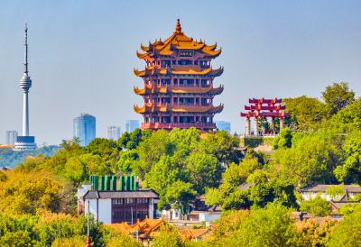 @湖北人 你关心的问题，14位厅长来解答！