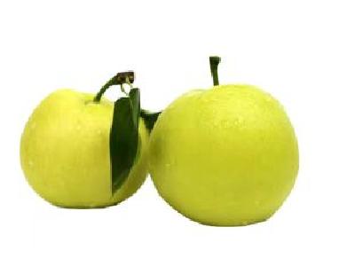 由湖北牵头制定的这项砂梨行业标准将在全国实施