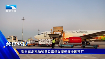 鄂州花湖机场智慧口岸建设案例获全国推广