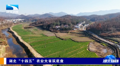 湖北“十四五”农业大省筑底盘 | 粮仓丰产业兴 绘就新时代鱼米之乡新图景