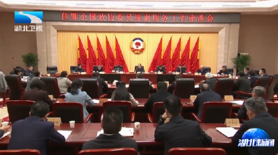 住鄂全国政协委员提案服务工作座谈会召开 孙伟主持并讲话