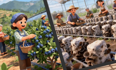 向“新”图强 ，幸福保康！说说我们的获得感…… 