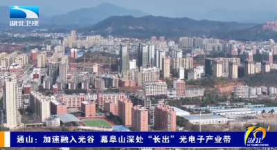 通山：加速融入光谷 幕阜山深处“长出”光电子产业带