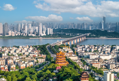 省商务厅党组书记、厅长龙小红：畅通国内国际双循环，打造内陆开放高地