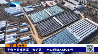 随州随县：香菇产业成致富“金钥匙” 出口额破2.8亿美元