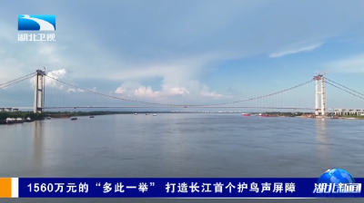 1560万元的“多此一举” 打造长江首个护鸟声屏障