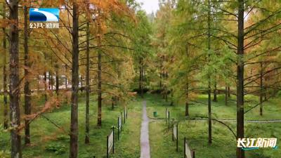 2025年12月10日长江新闻