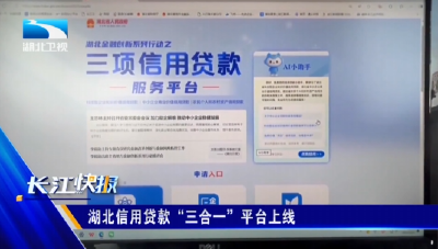 湖北信用贷款“三合一”平台上线