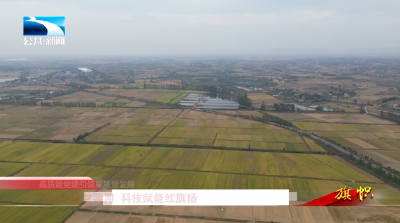 2025年12月14日《旗帜》