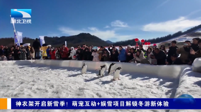神农架开启新雪季！萌宠互动+娱雪项目解锁冬游新体验