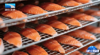 冲刺！确保完成全年目标任务 | 48小时直达全国餐桌！亚洲最大三文鱼加工基地年底试产