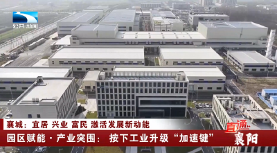 园区赋能·产业突围：按下工业升级“加速键”