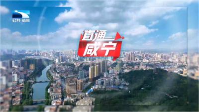 直通咸宁 | 加快打造“武汉都市圈绿色发展重要增长极”