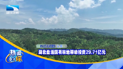 湖北盘活国有林地带动投资29.71亿元