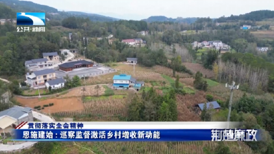 贯彻落实全会精神∣恩施建始：巡察监督激活乡村增收新动能
