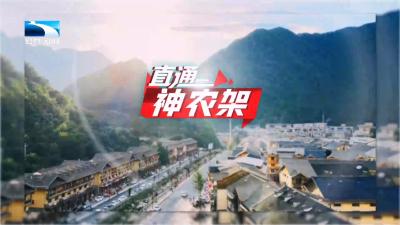 直通神农架 | 冰雪季启幕：“冰雪+”多元业态擦亮冬季品牌