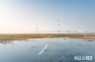 在汉央企参建京武黄河大桥建成通车