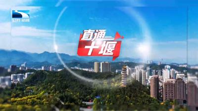 直通十堰 | 营商环境“优”无止境 张湾聚力“兴”企远航