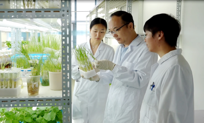 华中农业大学研究成果入选《科学》杂志2025年度十大科学突破