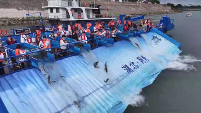 新增36种鱼！长江禁渔5年见成效