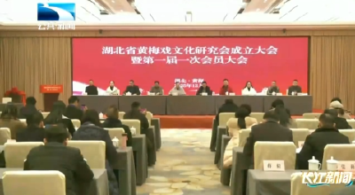 湖北省黄梅戏文化研究会成立 聚力传承创新千年戏韵