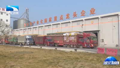 蔚盛斌强调 深入实施强县工程 一体推进兴业强县富民