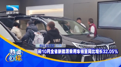 前10月全省新能源乘用车销量同比增长32.05%
