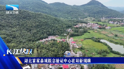 湖北首家县域概念验证中心在阳新揭牌