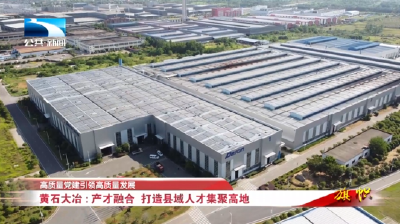 深入学习贯彻党的二十届四中全会精神∣黄石大冶：产才融合 打造县域人才集聚高地