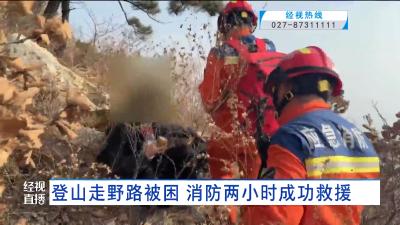 登山走野路被困 消防两小时成功救援