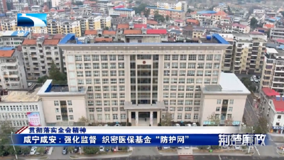 贯彻落实全会精神∣咸宁咸安：强化监督 织密医保基金“防护网”