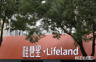 武汉洪山区南湖硅巷·环理工大创新街区正式开街