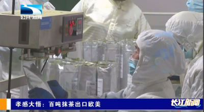 孝感大悟：百吨抹茶出口欧美