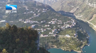 2025年12月15日湖北十分