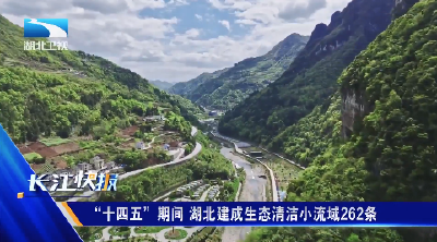 “十四五”期间 湖北建成生态清洁小流域262条