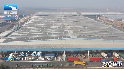 支点观察 | 荆州：白色家电“新一极”