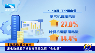 牢记嘱托 建成支点 | 用电数据显示湖北高质量发展“含金量”