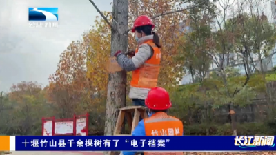 十堰竹山县千余棵树有了“电子档案”