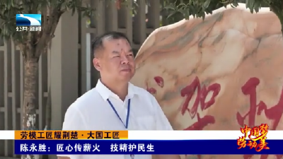 劳模工匠耀荆楚·大国工匠 陈永胜：匠心传薪火 技精护民生