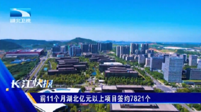 前11个月湖北亿元以上项目签约7821个