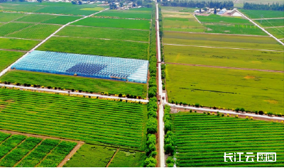 在鄂央企承建五原盐碱地综合利用项目顺利完工