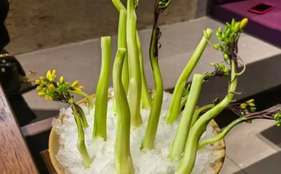 朱一龙的最爱，已经上市，武汉才有！