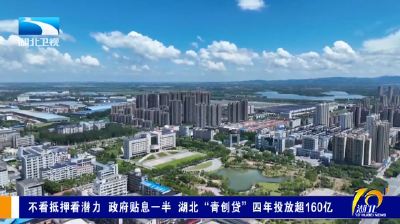 不看抵押看潜力 政府贴息一半 湖北“青创贷”四年投放超160亿