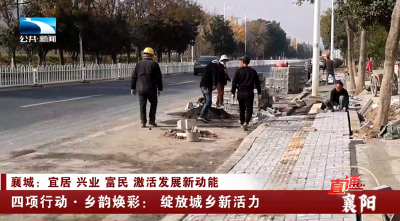 四项行动·乡韵焕彩：绽放城乡新活力