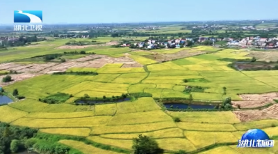 奋进“十五五”·厅局长访谈 | 湖北省自然资源厅党组书记、厅长何开文：优化国土空间发展格局 当好“大管家”