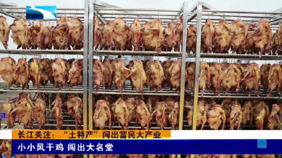 “土特产”闯出富民大产业丨小小风干鸡 闯出大名堂