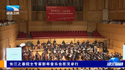 长江之春院士专家新年音乐会在汉举行