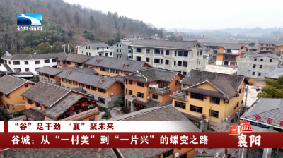 谷城：从“一村美”到“一片兴”的蝶变之路