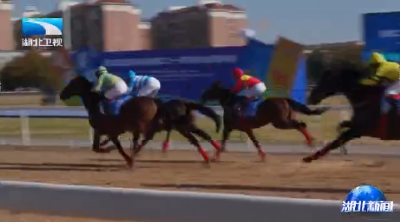 2025武汉马运会启幕 超300对人马组合同场竞技